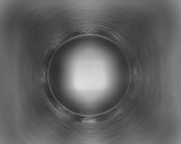 X0000060580602200511031338