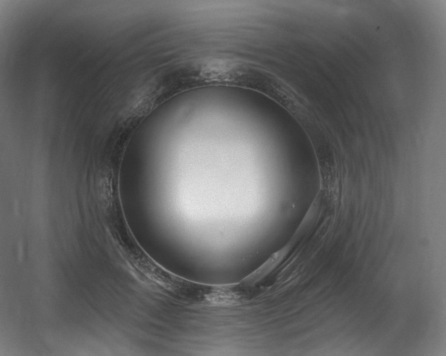 X0000060580603200511031338