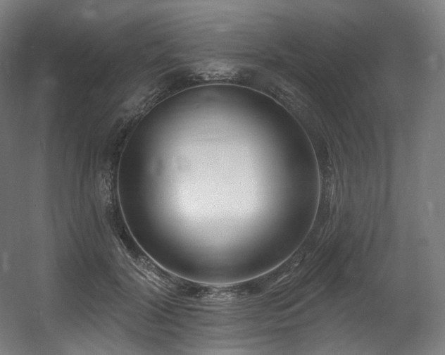 X0000060580604200511031338