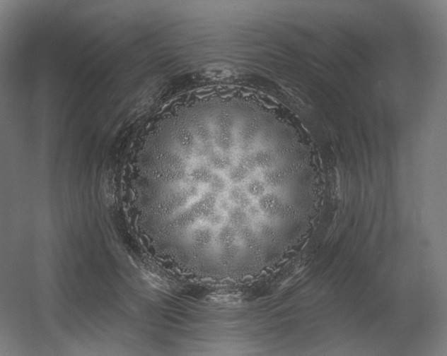 X0000060580606200511031338