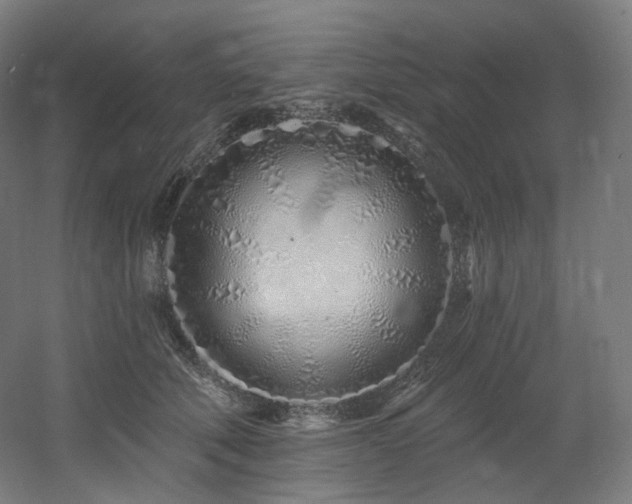 X0000060580610200511031338