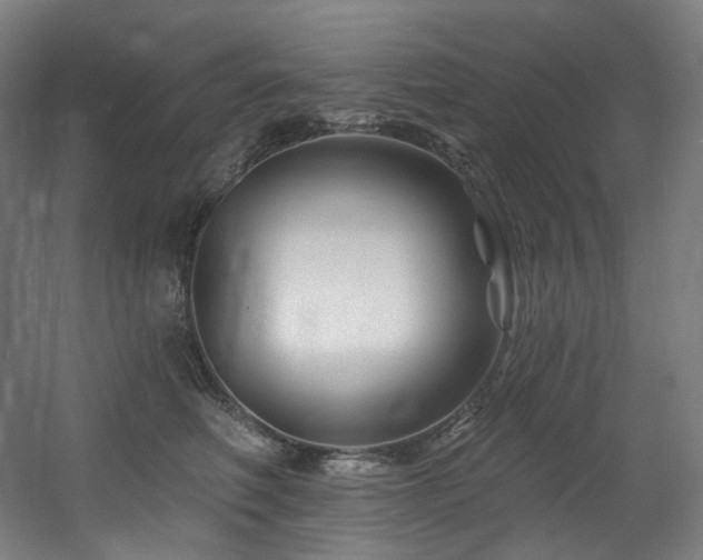 X0000060580614200511031338