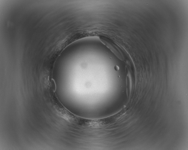 X0000060580615200511031338