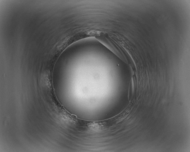 X0000060580616200511031338