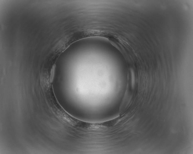 X0000060580617200511031338