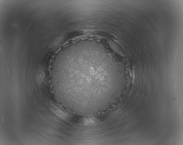 X0000060580618200511031338