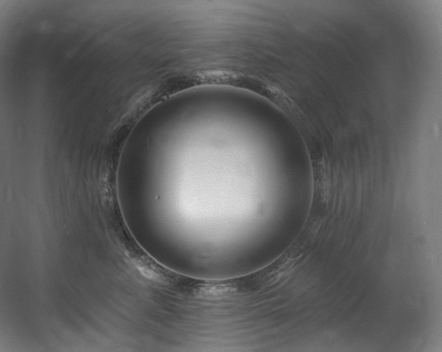 X0000060580619200511031338