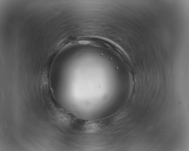 X0000060580620200511031337