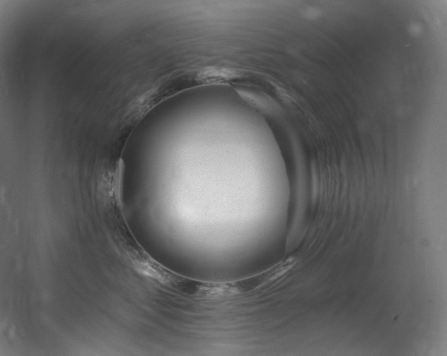 X0000060580621200511031337