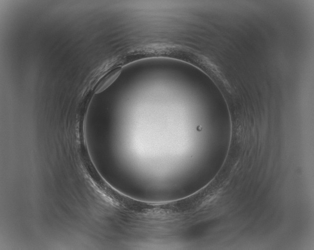 X0000060580633200511031337