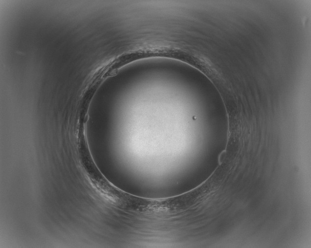 X0000060580640200511031337