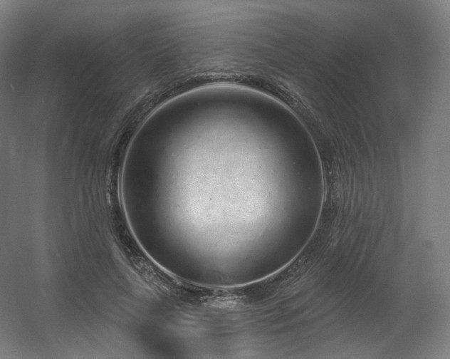 X0000060580643200511031337