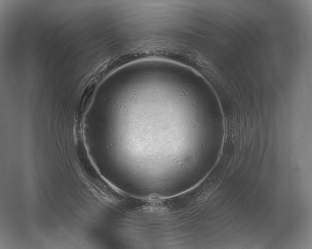 X0000060580644200511031337