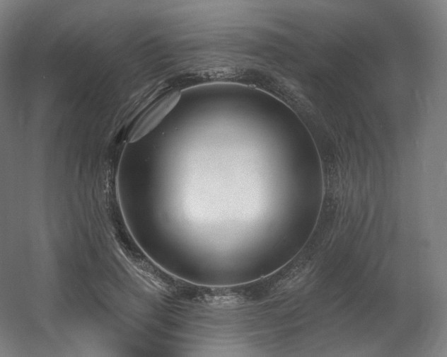 X0000060580645200511031337