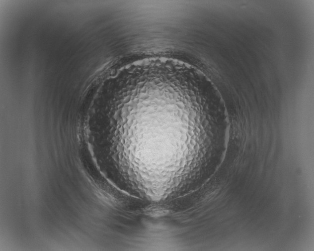 X0000060580648200511031337