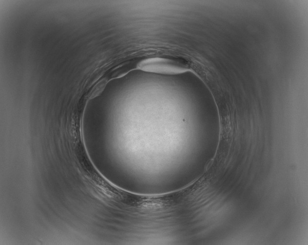 X0000060580653200511031337