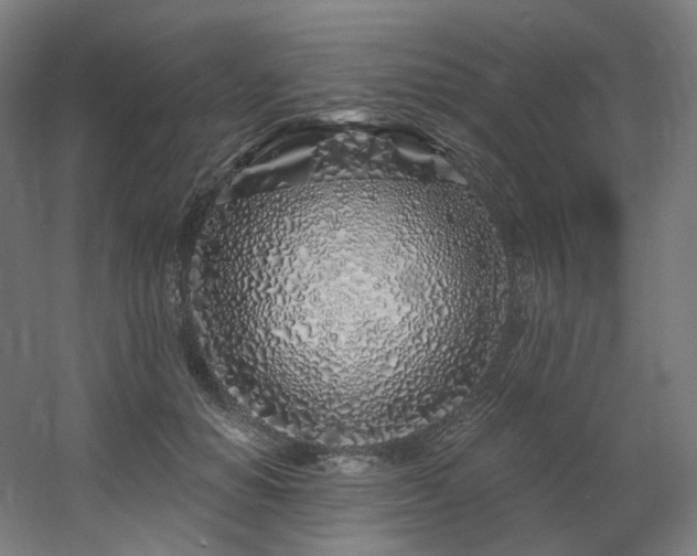 X0000060580654200511031337