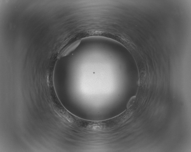 X0000060580655200511031337