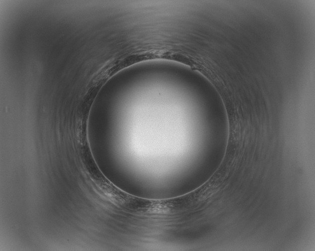 X0000060580656200511031337