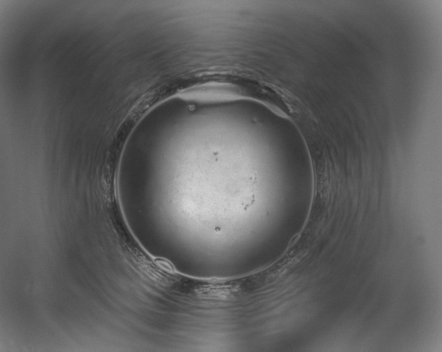 X0000060580661200511031337