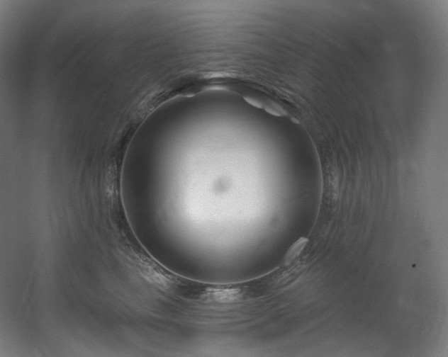 X0000060580665200511031337