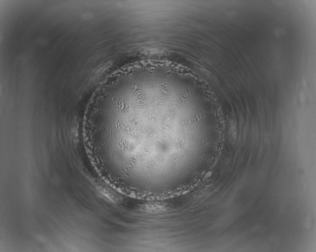 X0000060580668200511031337