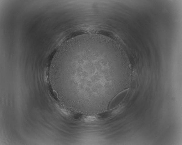 X0000060580671200511031337