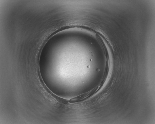 X0000060580673200511031337