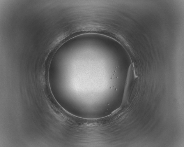 X0000060580675200511031337