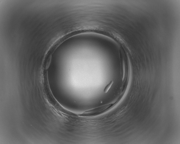 X0000060580676200511031337