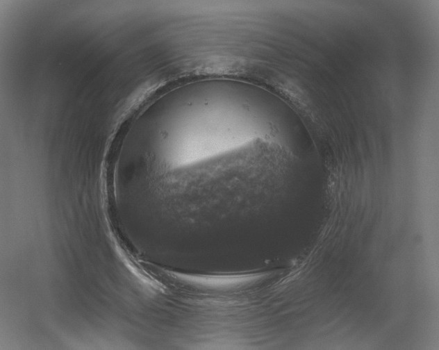 X0000060580678200511031337