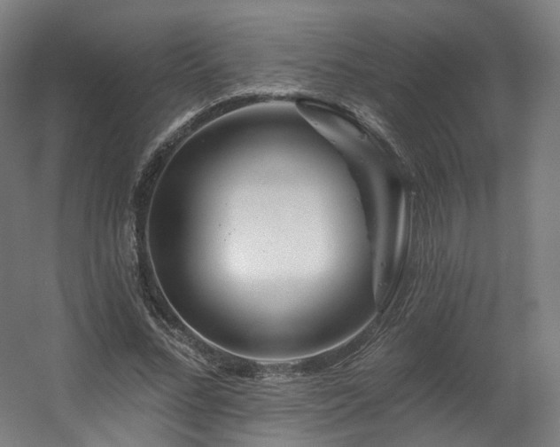 X0000060580684200511031336