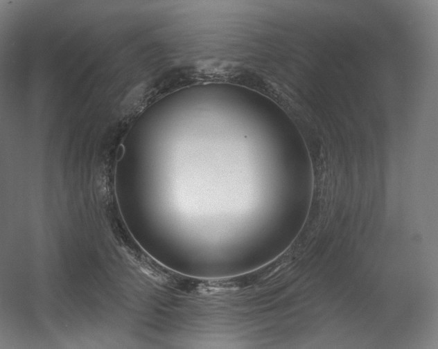 X0000060580706200511031336