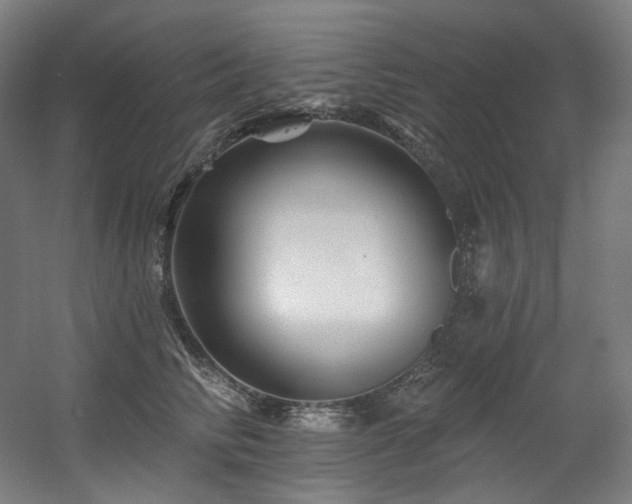 X0000060580710200511031336