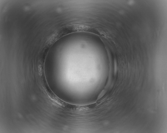 X0000060580716200511031336