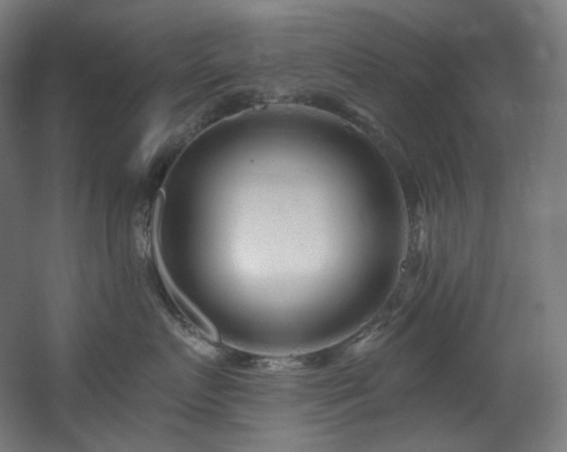 X0000060580719200511031336