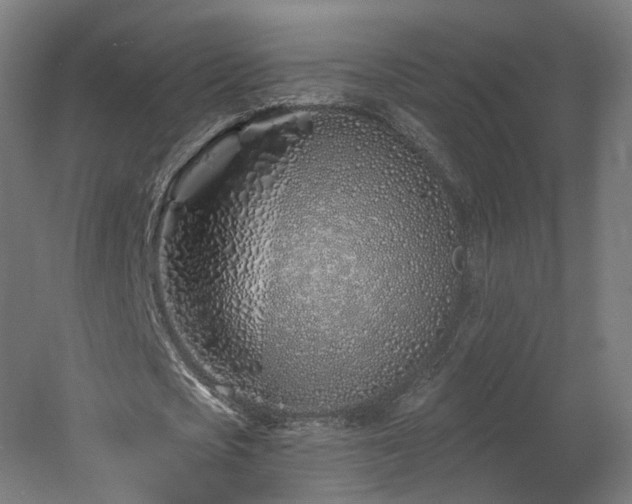 X0000060580721200511031335