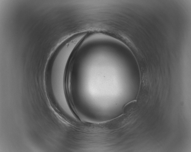 X0000060580722200511031335