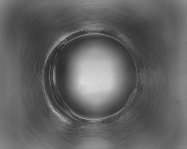 X0000060580726200511031335