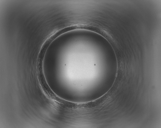 X0000060580730200511031335