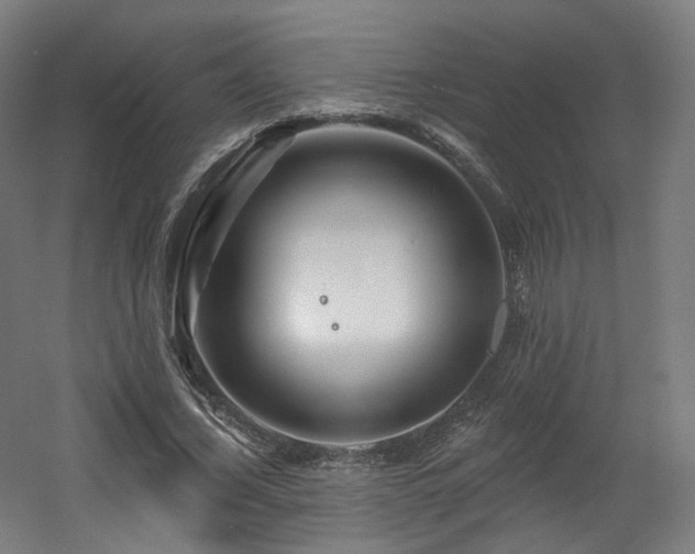 X0000060580732200511031335