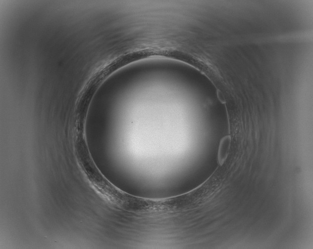 X0000060580736200511031335