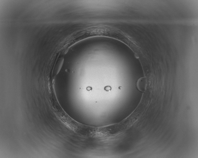 X0000060580737200511031335