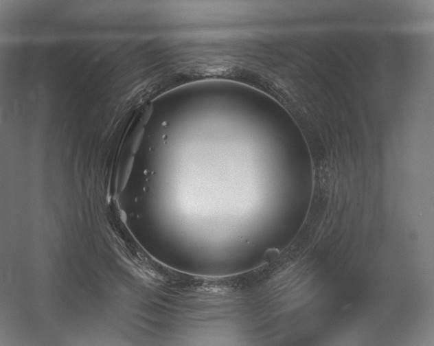 X0000060580741200511031335