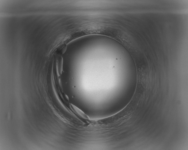 X0000060580742200511031335