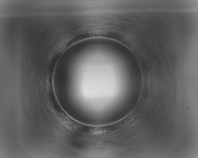 X0000060580746200511031335