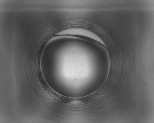 X0000060580748200511031335