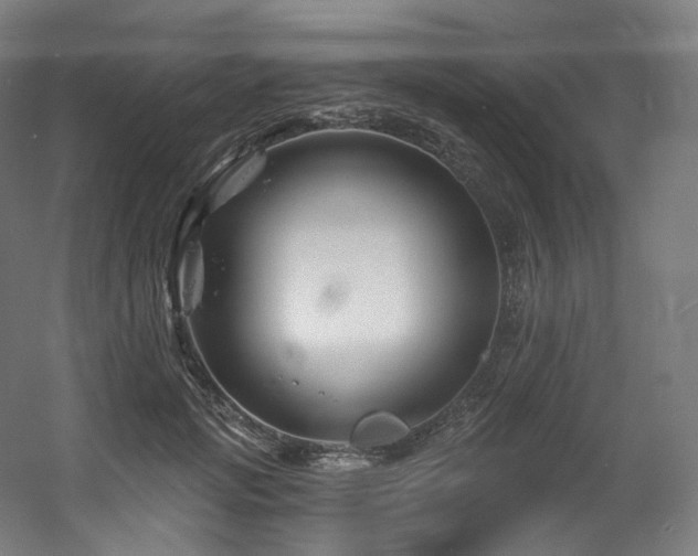 X0000060580749200511031335