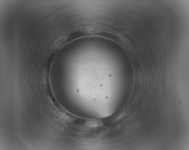 X0000060580757200511031336
