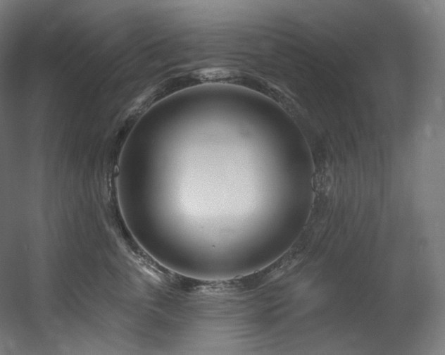 X0000060580763200511031336